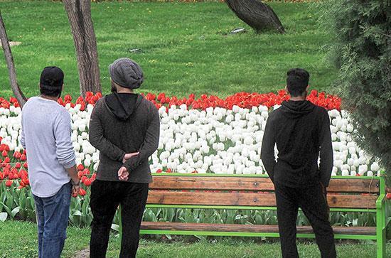این دوست ها به درد دوستی نمی خورند!