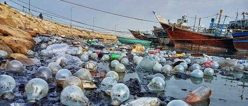 خبرنگاران مدیرکل حفاظت محیط زیست بوشهر: پسماند از عوامل خبرنگاران مدیرکل حفاظت محیط زیست بوشهر: پسماند از عوامل اصلی آلودگی دریا است