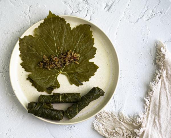 طرز تهیه دلمه برگ مو مجلسی؛ رازهای چاشنی ملس و وا نرفتن
